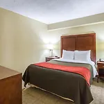 Comfort Inn Downtown