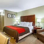 Comfort Inn Downtown