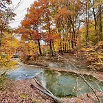 Log Cabin - Natures Oasis - Fire Pit & Gazebo
