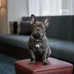 Hampton Inn Cleveland-Downtown