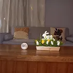 Haven Of Comfort