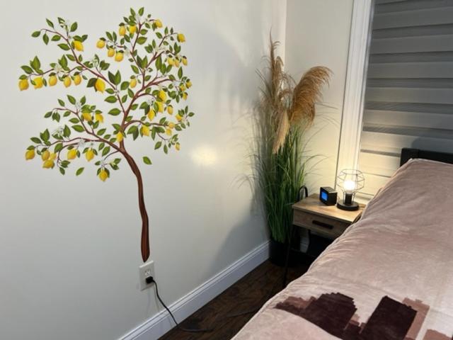 Uber Close To Ohio City, Apartment
