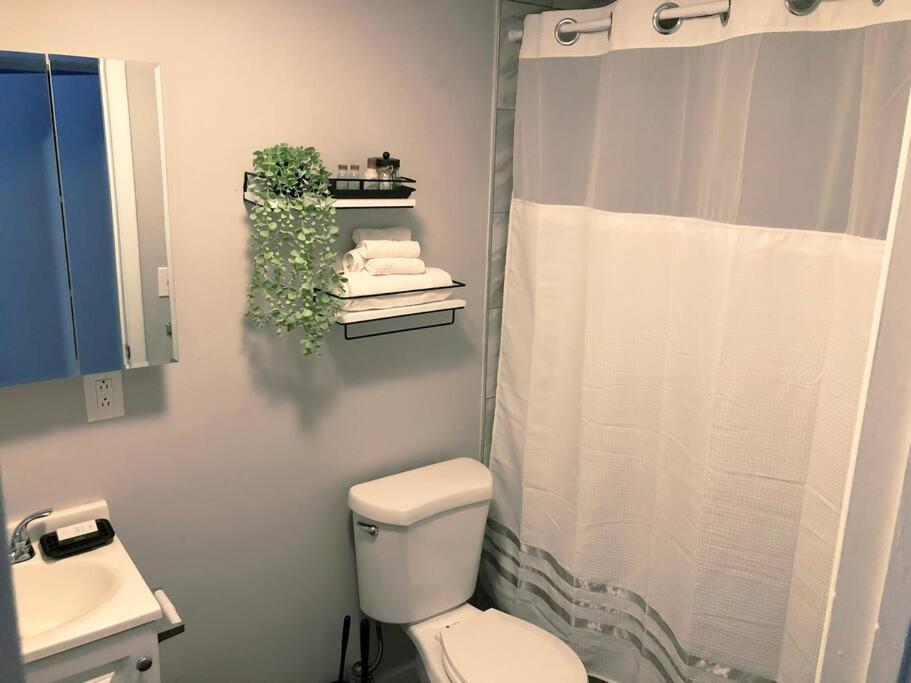 Apartment Downtown -modern First Floor Unit