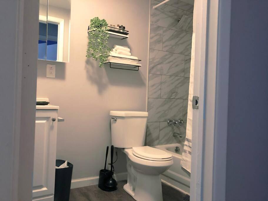 Downtown -modern First Floor Unit Apartment *