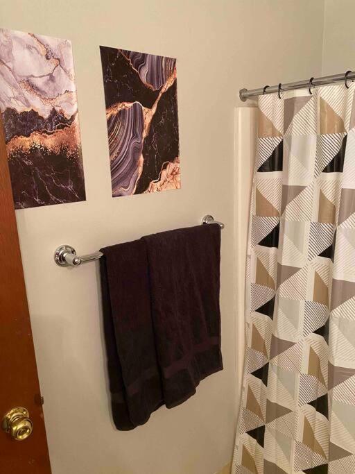 Downtown Cle Loft, River View, King Bed, Free Parking Apartment