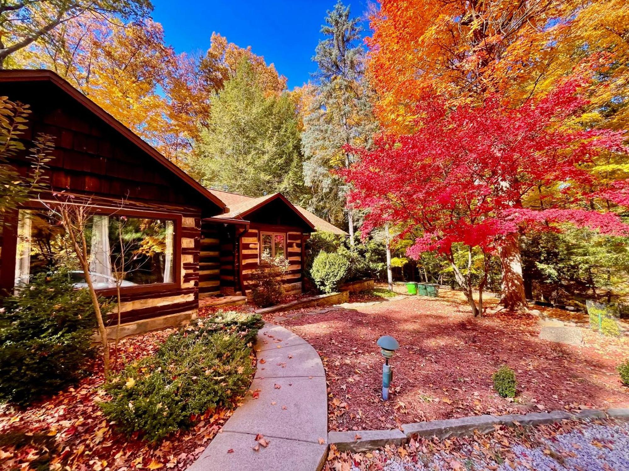 Log - Natures Oasis - Fire Pit & Gazebo *