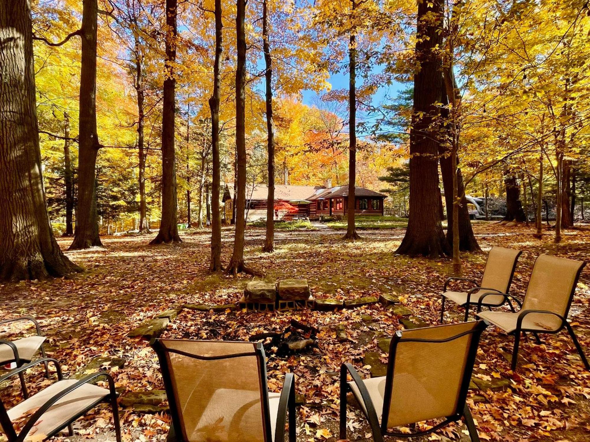 Log - Natures Oasis - Fire Pit & Gazebo Holiday home