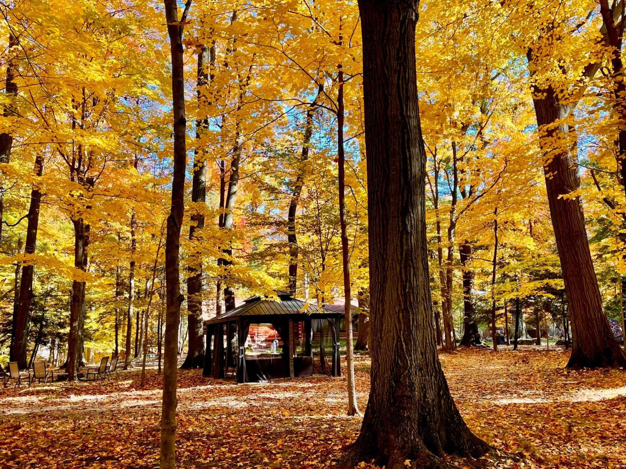 Log - Natures Oasis - Fire Pit & Gazebo Cleveland