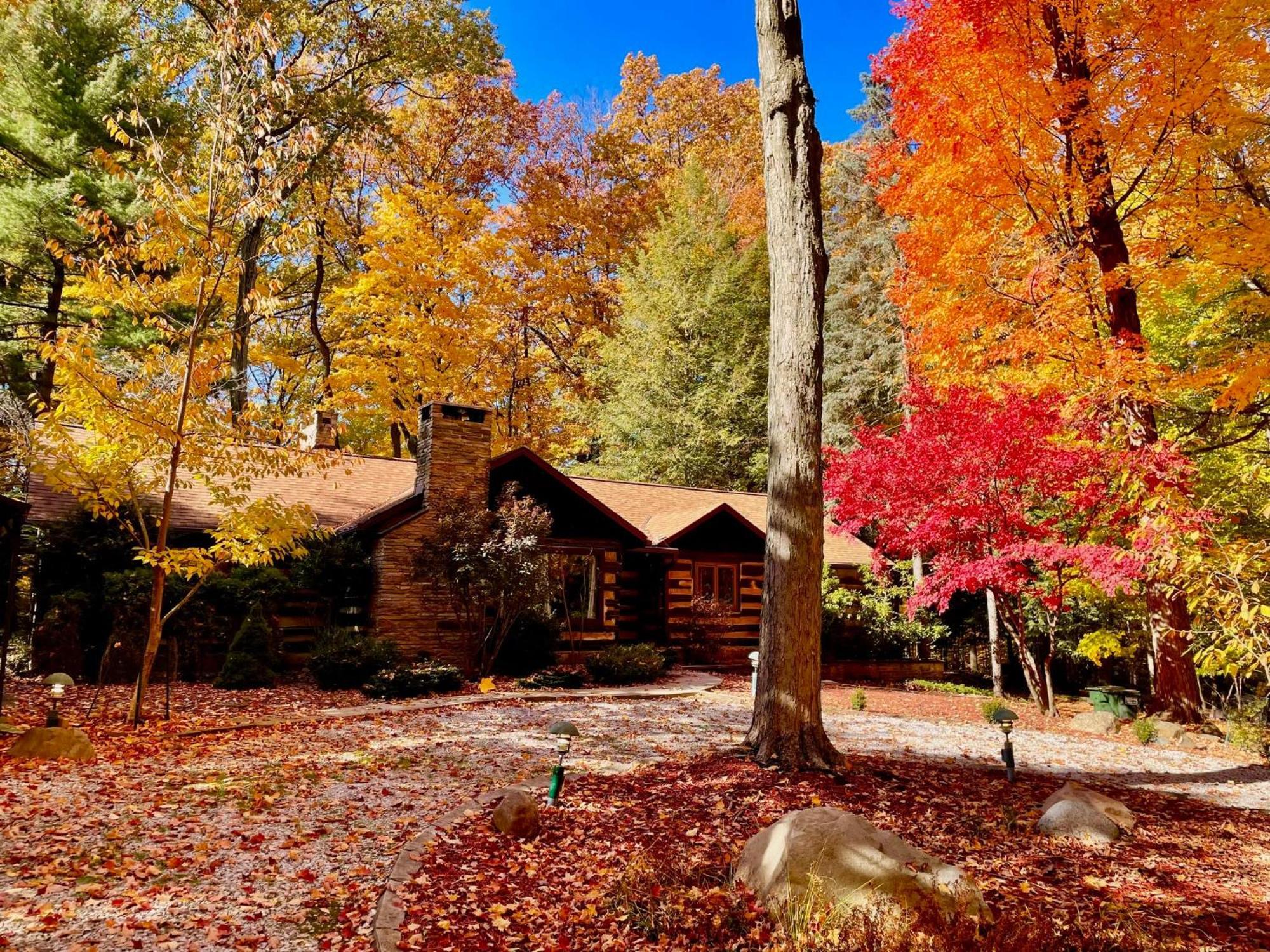 Log - Natures Oasis - Fire Pit & Gazebo