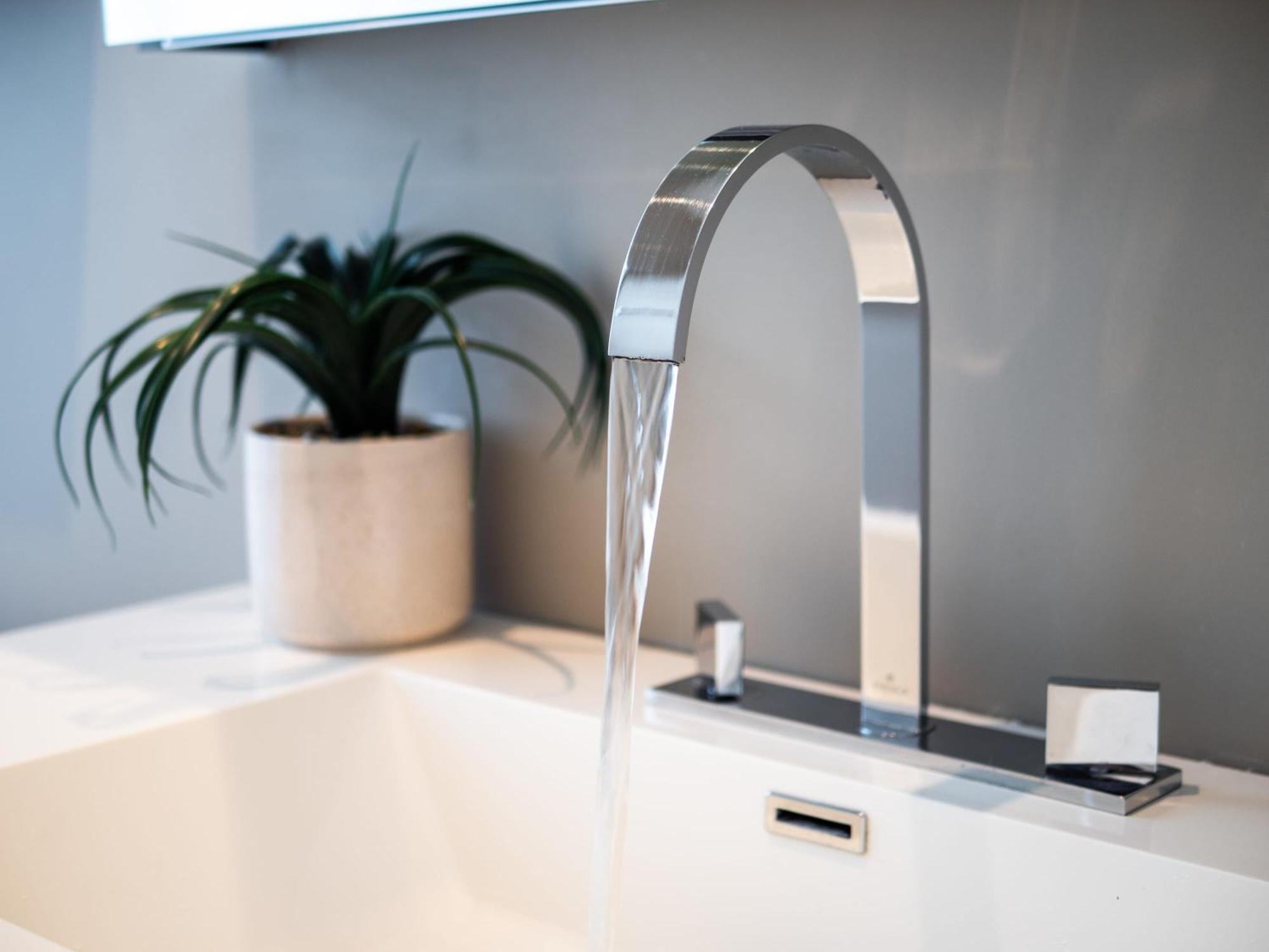 Contemporary Luxe Living I Pet + Baby Friendly