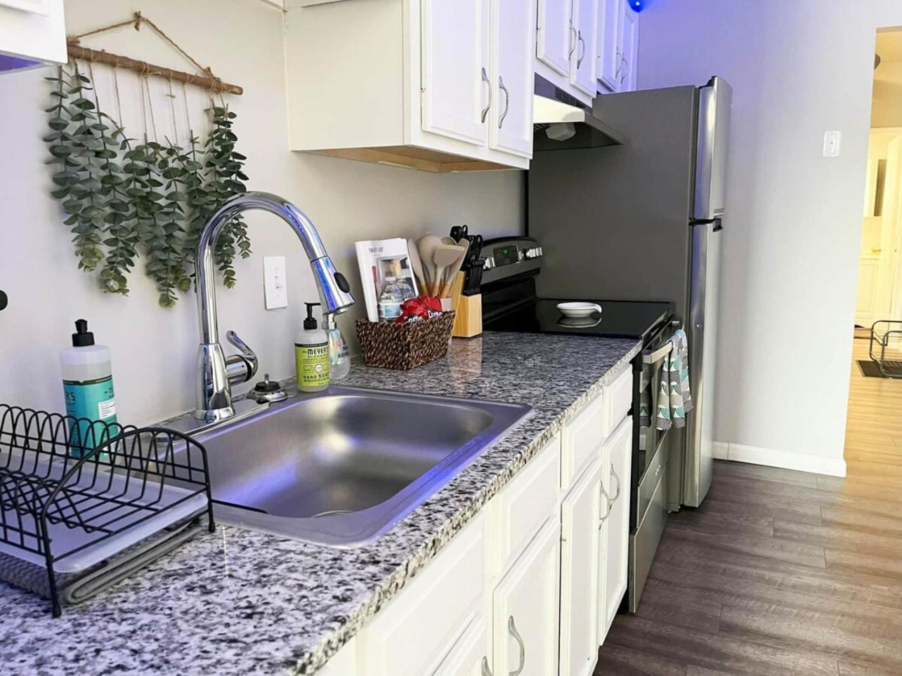 Conteporary Upgraded Dt Cle 2br Apt - Sleeps 6-7 Cleveland