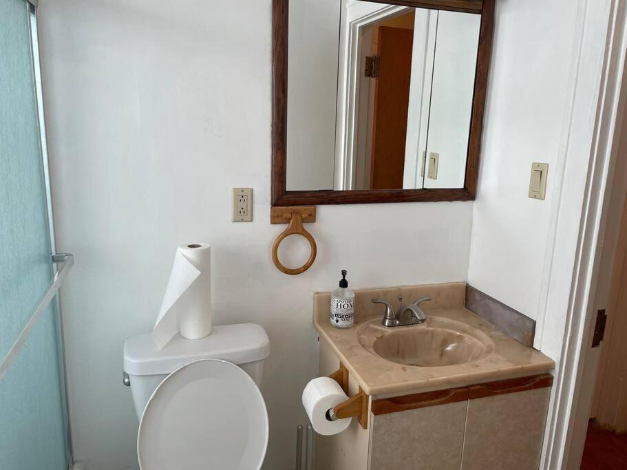 Primo 2 Bedroom 1 Bath Free Parking Airport Clinic Fairview Apartment *
