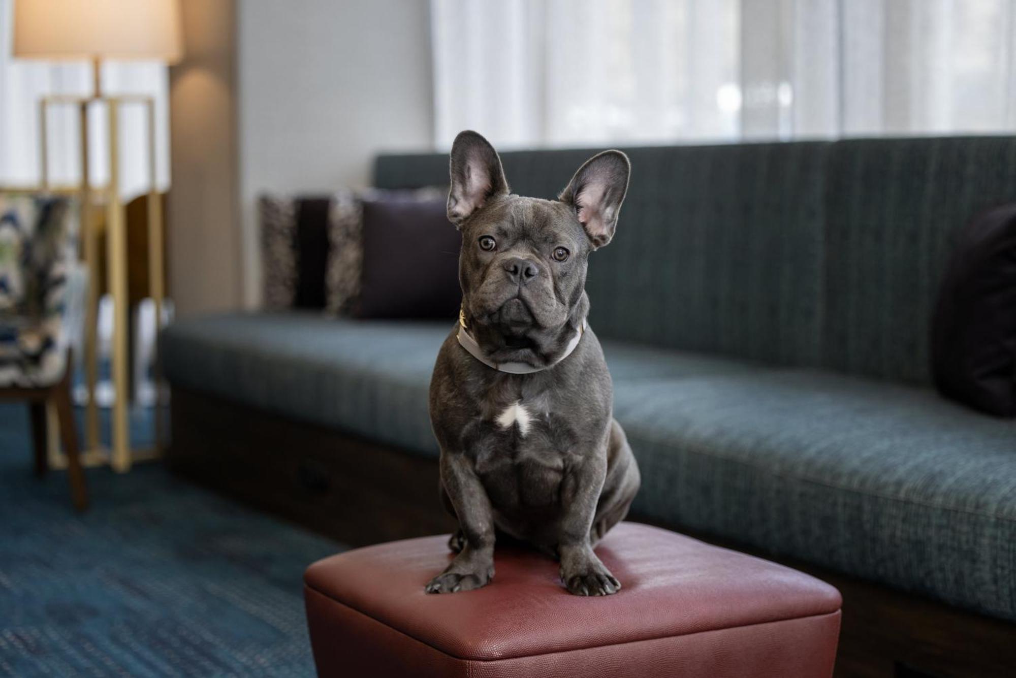 Hotel Hampton Cleveland-downtown 3*