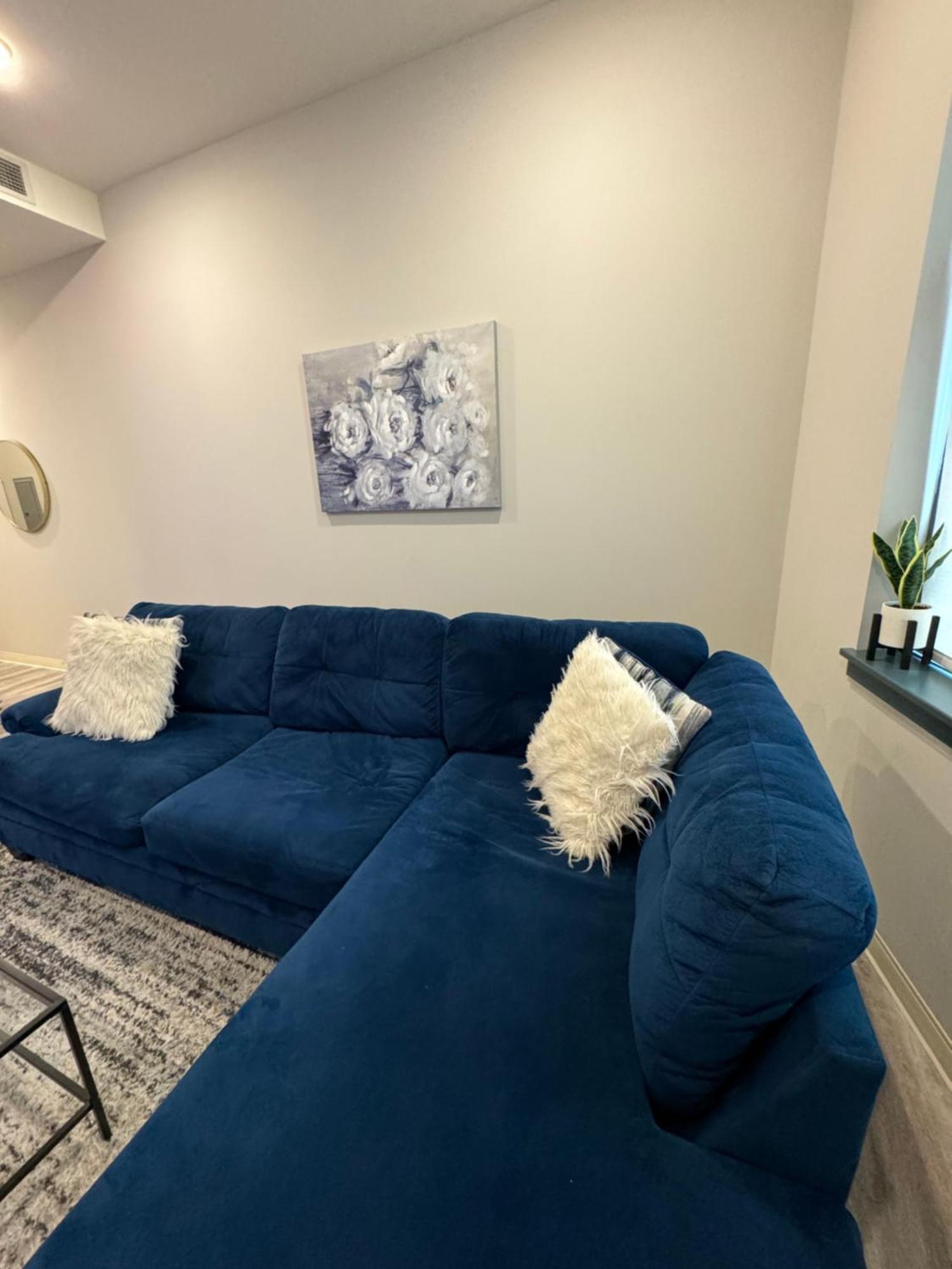 Beautiful Condo/rooftop Patio With Free Parking Apartment