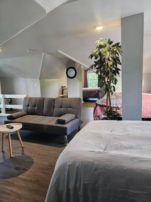 Apartment Spacious In The Heart Of It
