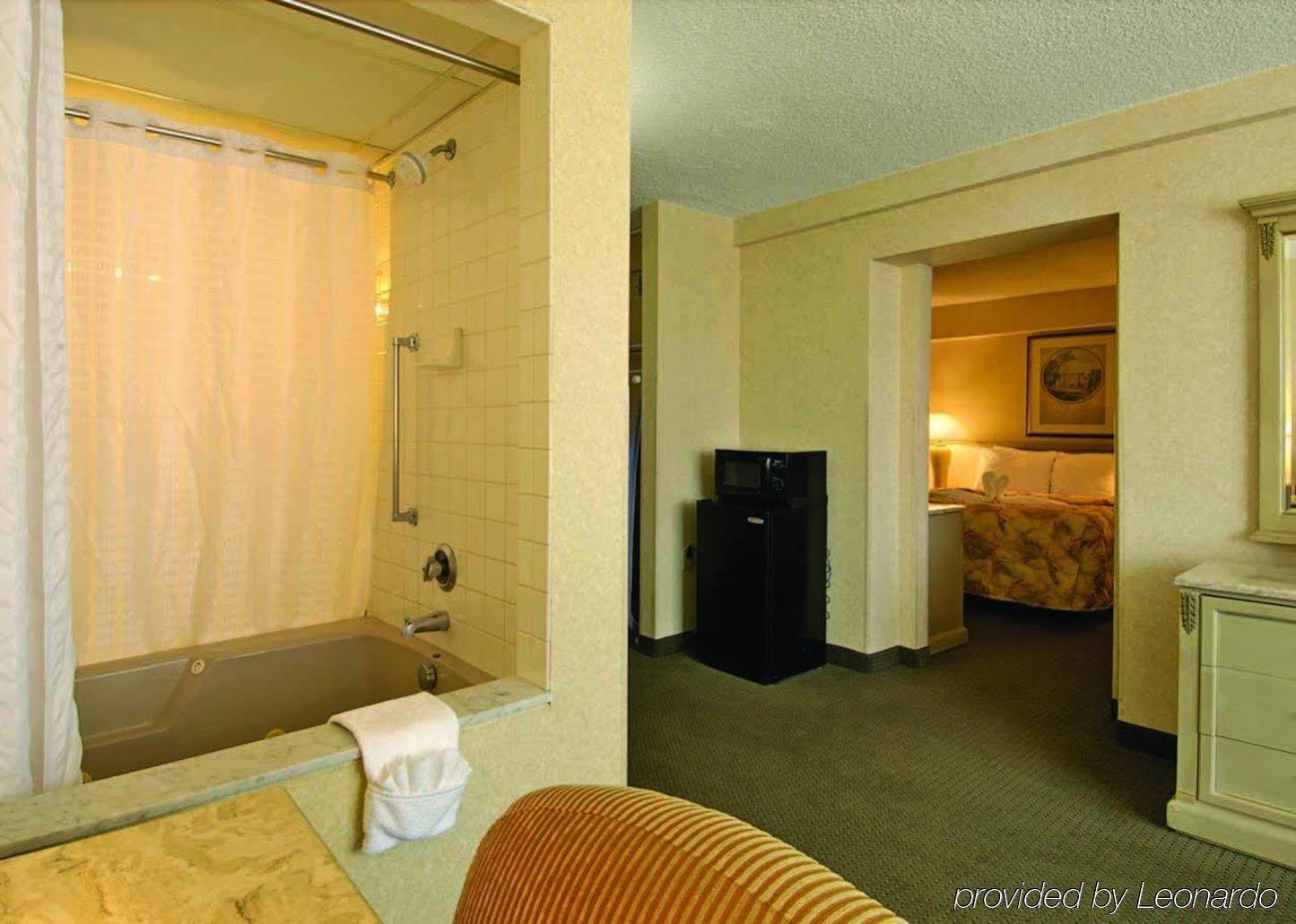Comfort Downtown Inn 2*