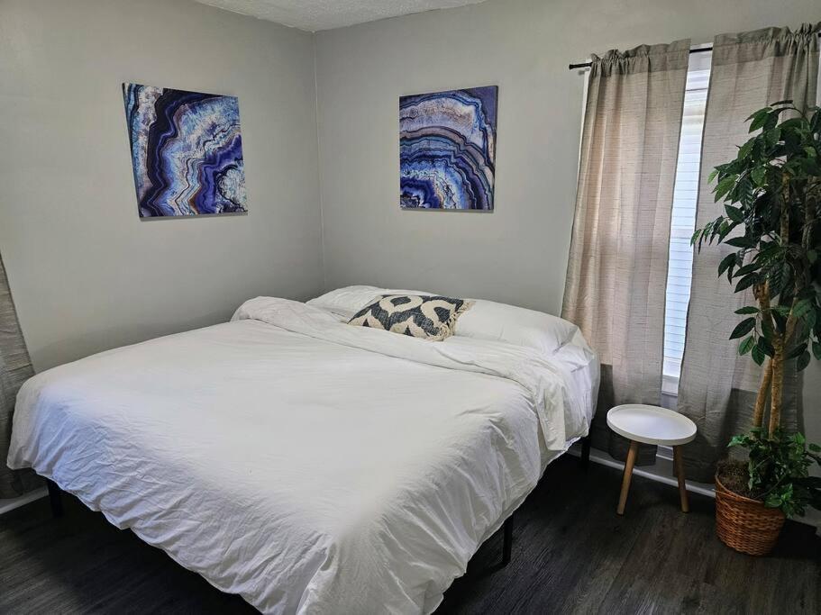 Spacious In The Heart Of It *