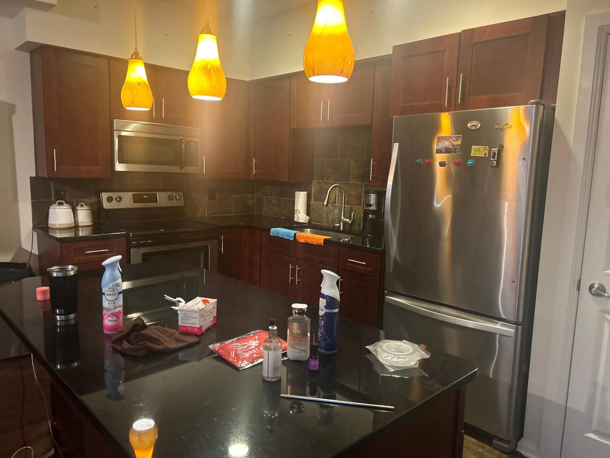 In The Lake View Penthouse Bed & Breakfast Cleveland